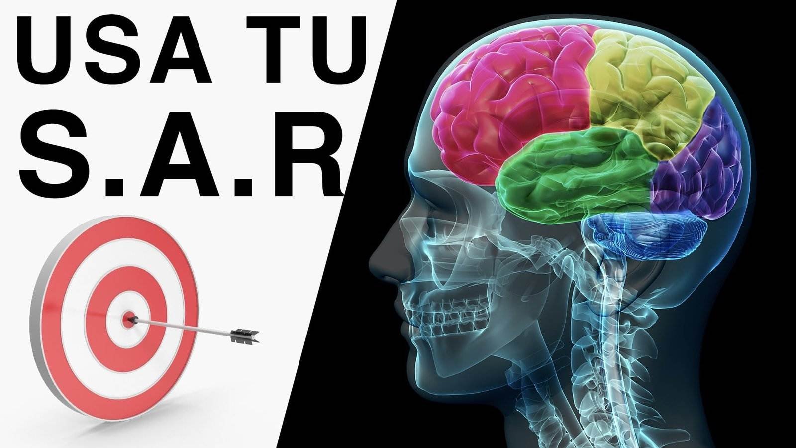Usa Tu Sistema de Activación Reticular