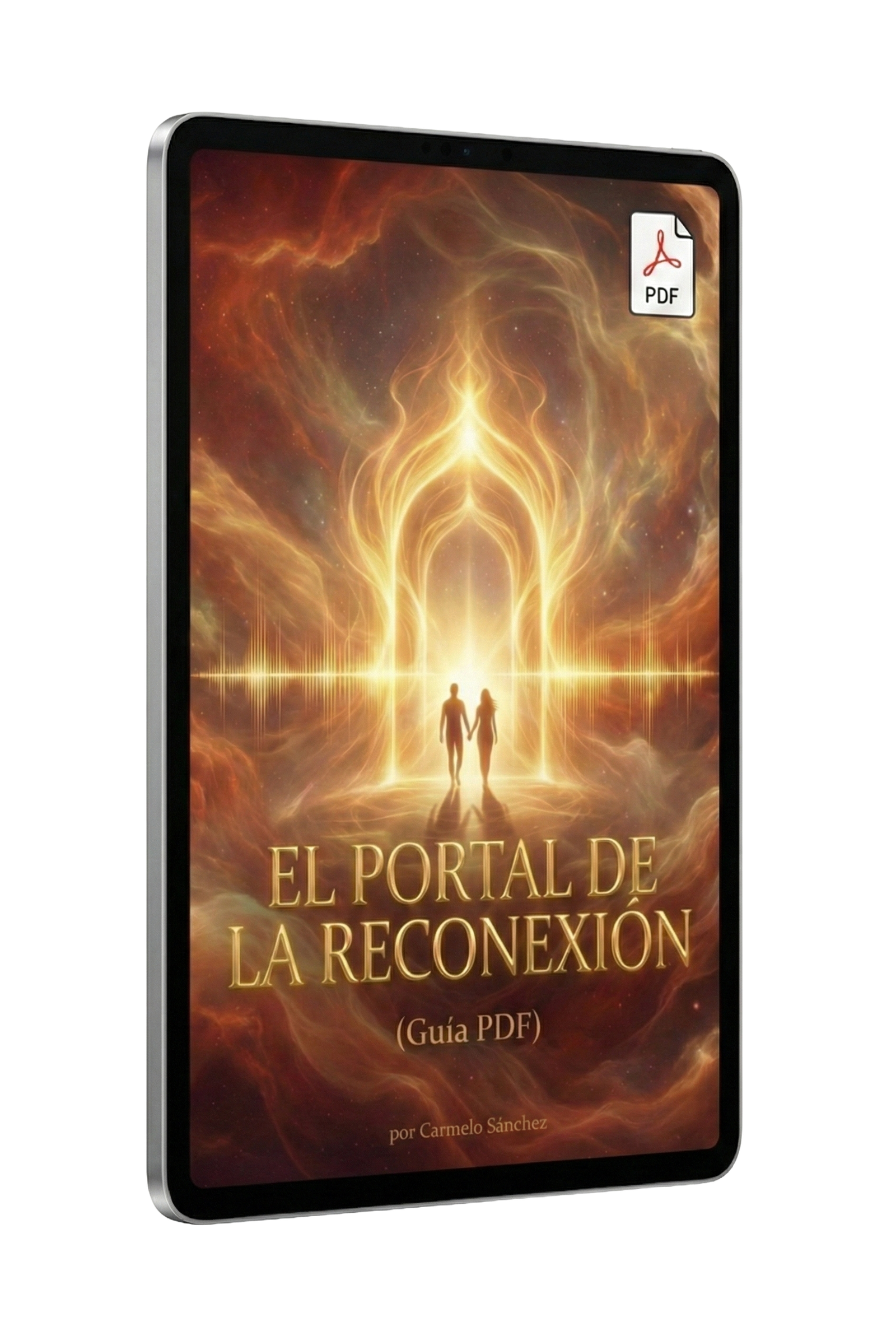 Portal de Reconexión